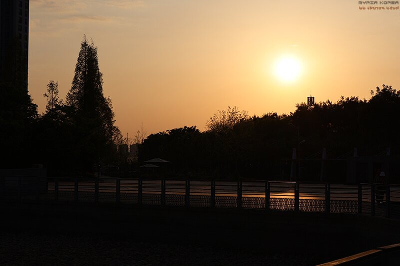 Geolpo Central Park-金浦市必去景点