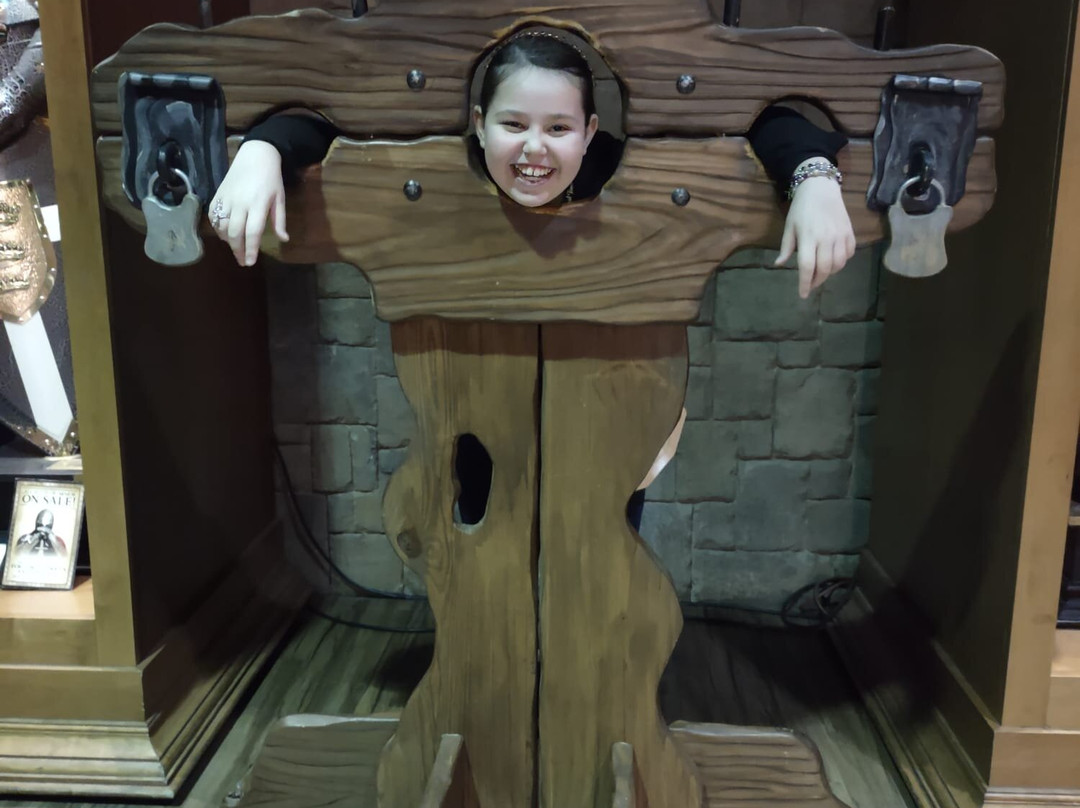 Medieval Times Maryland Castle-汉诺威必去景点