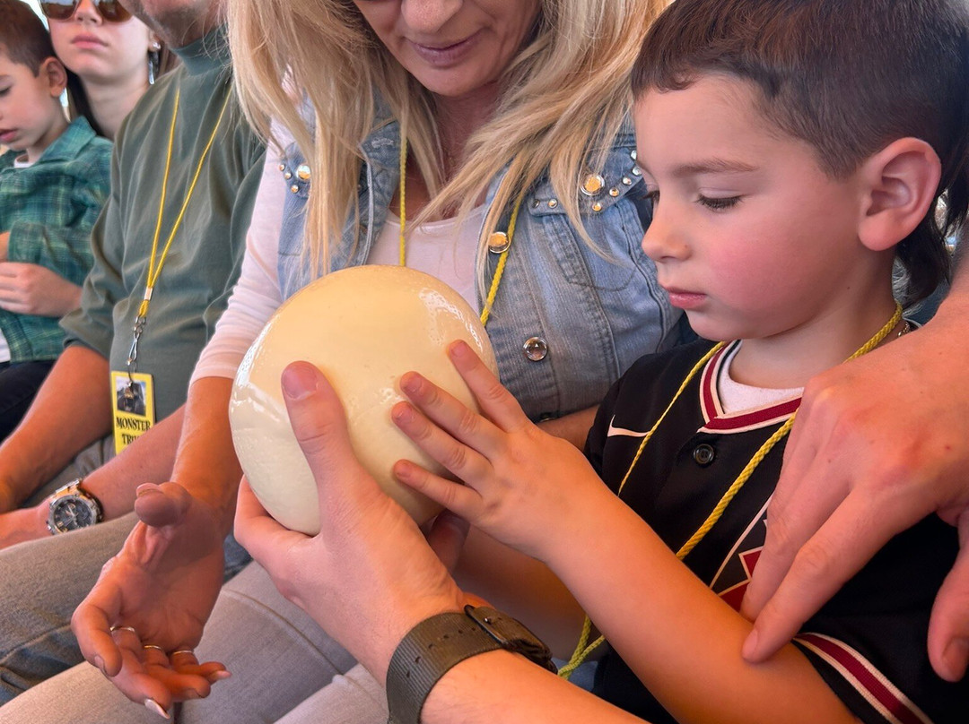 Rooster Cogburn Ostrich Ranch-Picacho必去景点