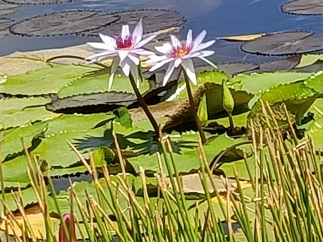 NG & Company Nature Tours-Speyside必去景点