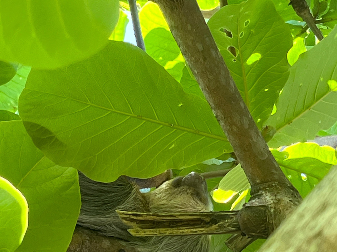 Bucus Tours景点图片