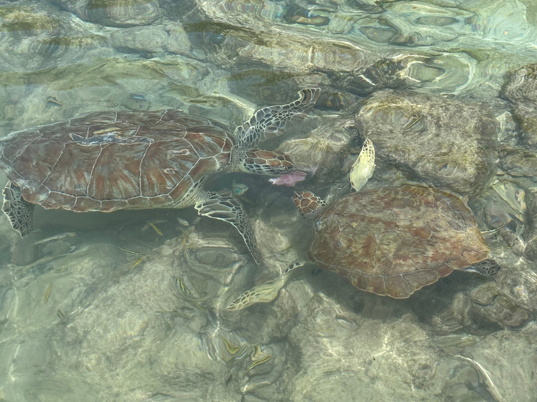 Daaibooi Beach-库拉索必去景点