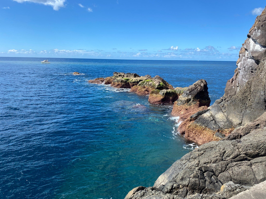 Madeira Travel Taxi Nuno Gomes-沙尔必去景点