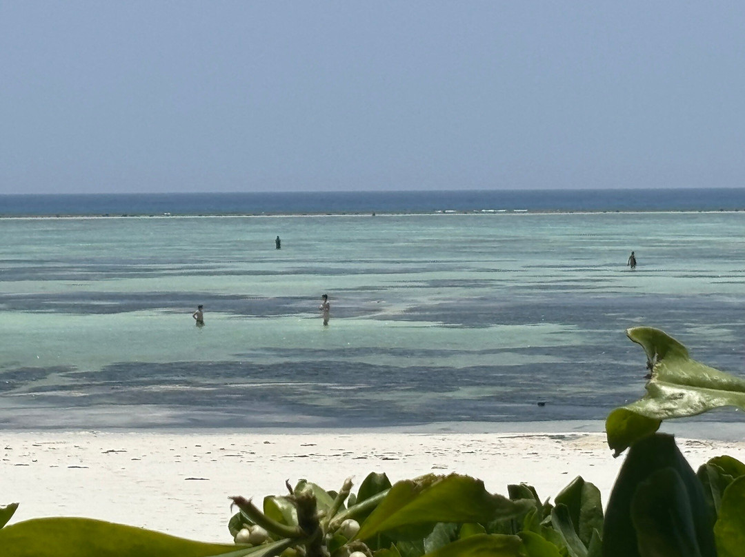 Matemwe Beach-Matemwe必去景点