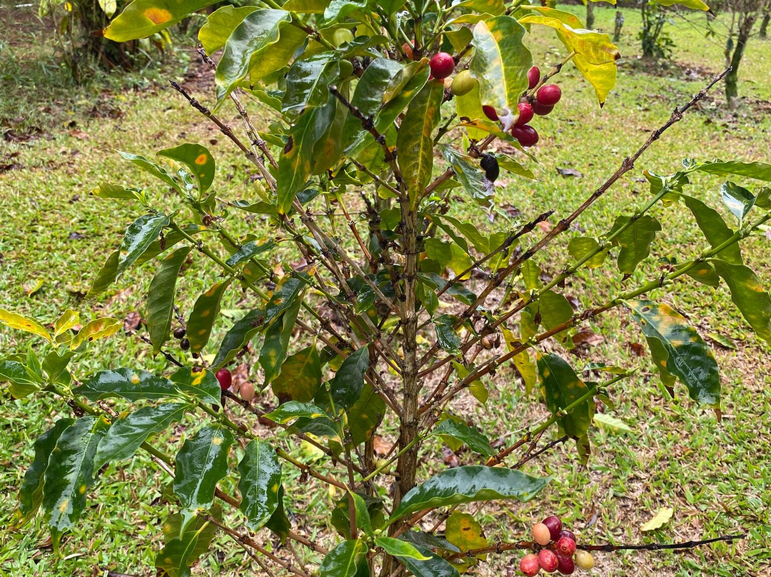 天堂草场-纳勒胡必去景点