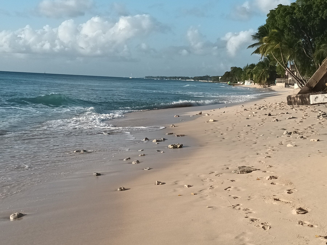 Fitts Village Beach-圣詹姆斯必去景点