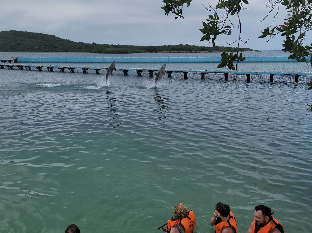 巴伊阿那然朱自然公园-奥尔金必去景点