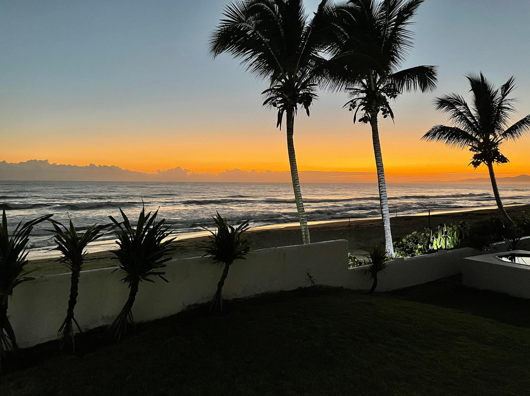 Barefoot Beach Pad主图