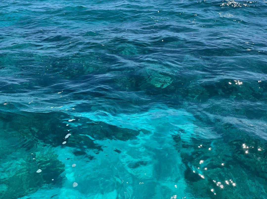 FL Keys Unique Diving-拉哥岛必去景点