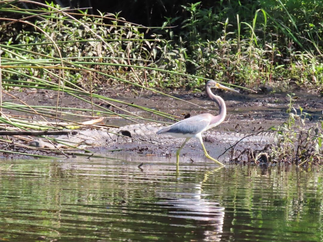 Kayak Eco Tours-阿卡迪亚必去景点