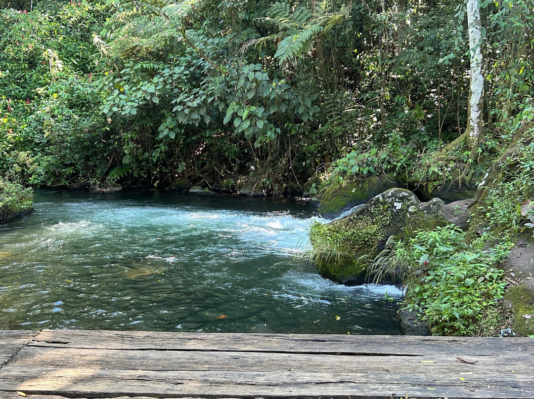 La Carolina Lodge主图