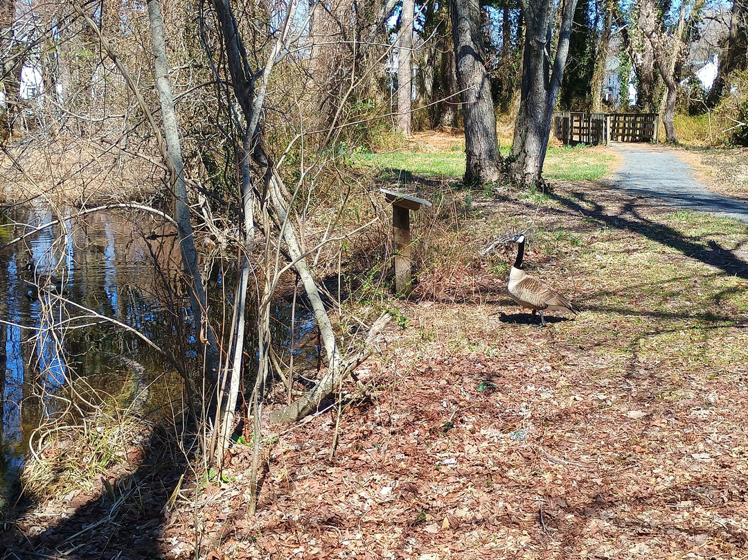 Stephen Decatur Park