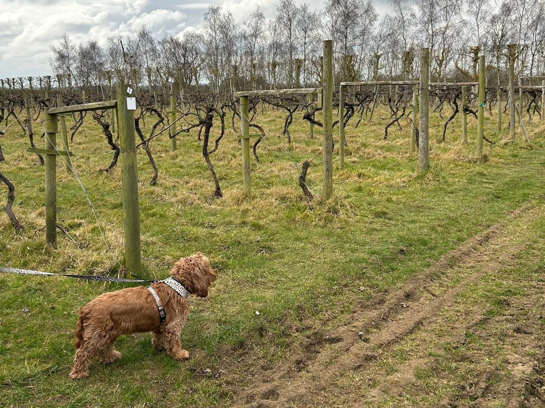 Giffords Hall Vineyard-Hartest必去景点