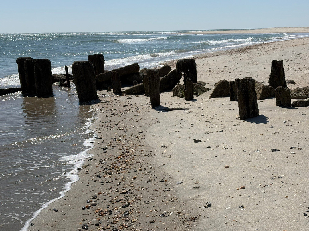 Pawleys Kayaks-帕利斯岛必去景点