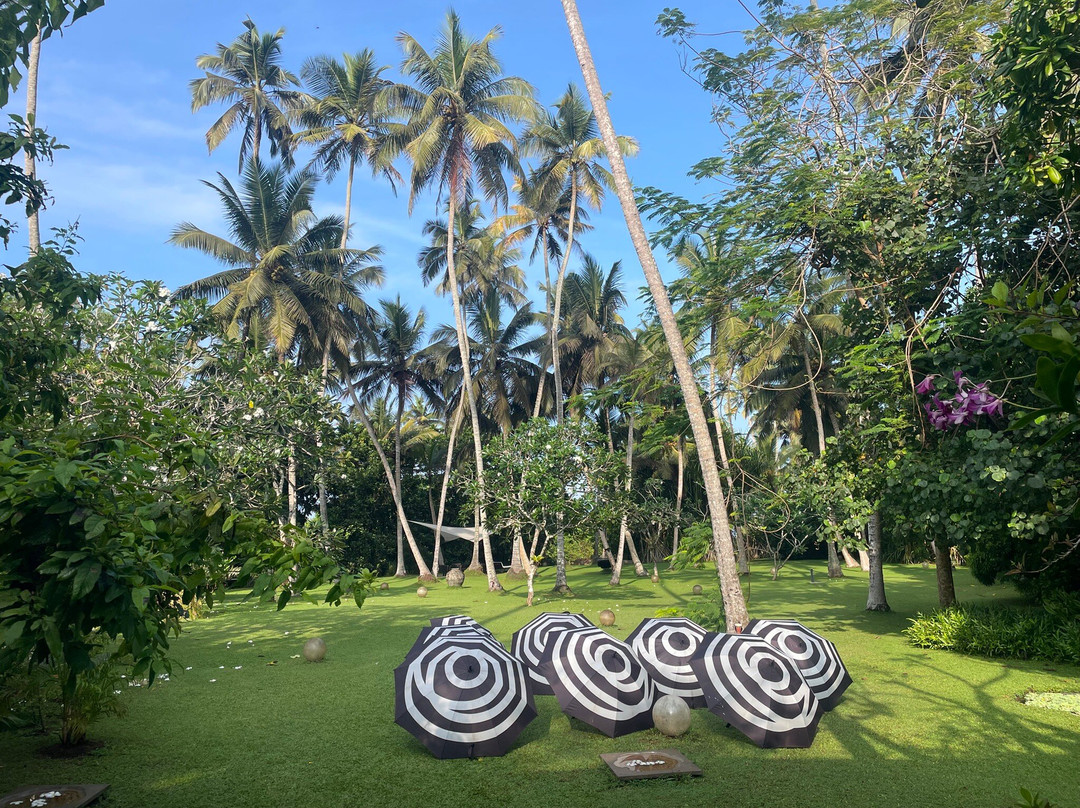 One World Foundation主图