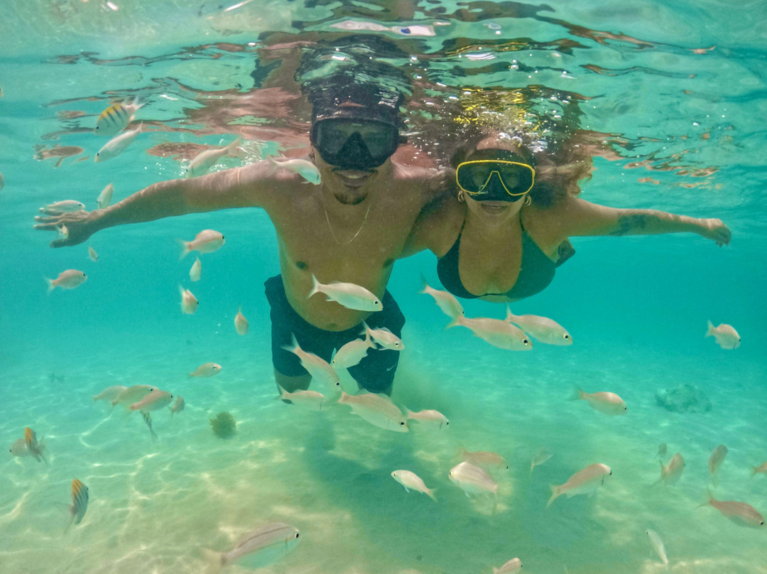 Natal Transfer Executivo-Sao Goncalo Do Amarante必去景点