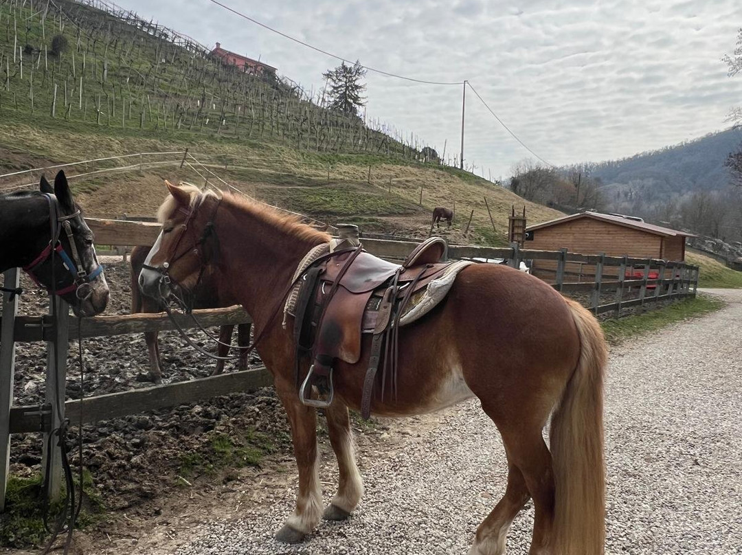 Ranch Val Di Ronch-Rolle必去景点