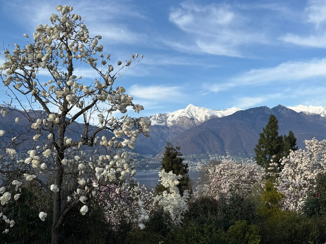 Parco Botanico del Gambaragno-San Nazzaro必去景点