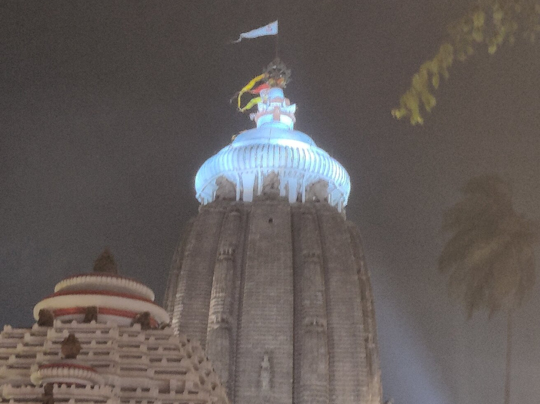 Shree Jagannath Temple景点图片