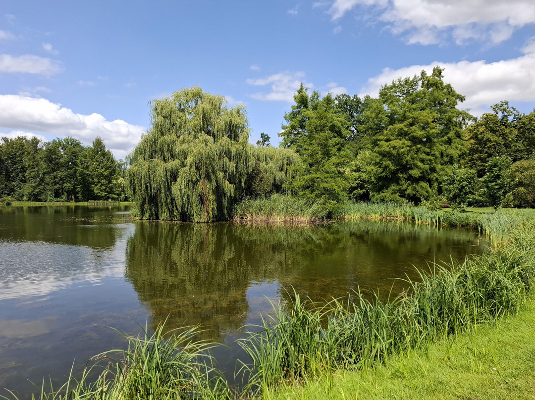 Arboretum Kórnickie景点图片