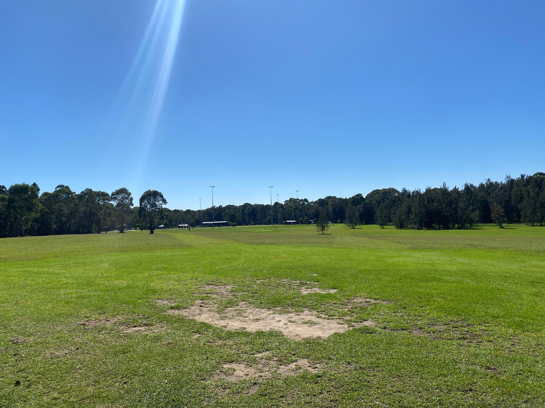 Caddies Creek Reserve景点图片