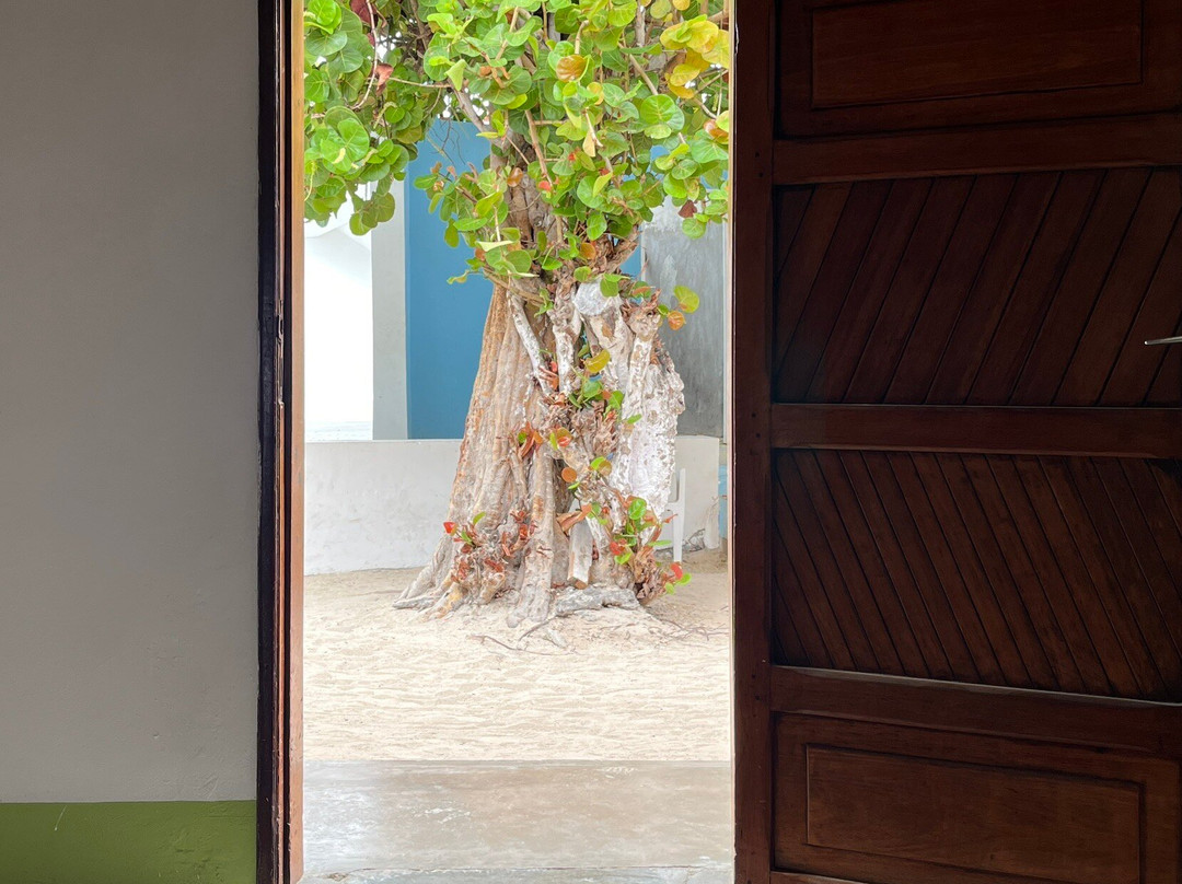 Posada Gremary主图