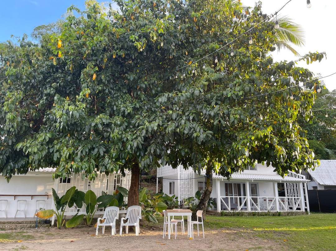 Riomana Cafe And Resort