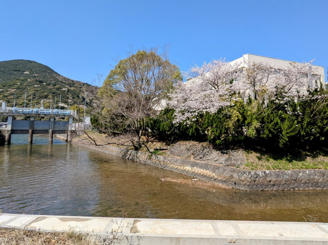 Hotel Miki