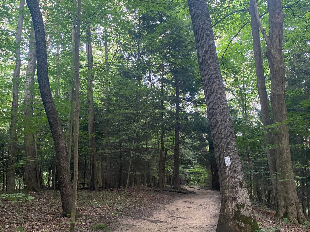 Mohican State Park-Loudonville必去景点