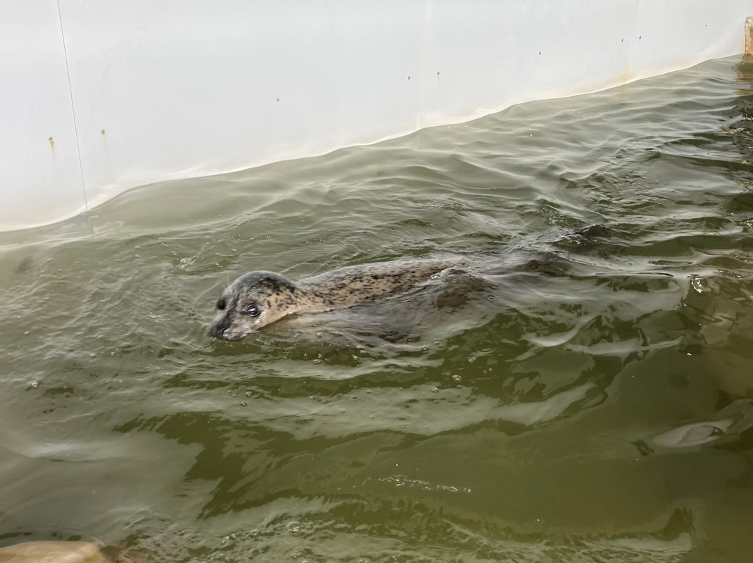Seaside Aquarium-锡赛德必去景点