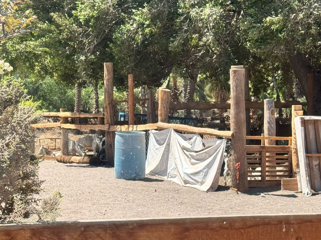 Hotel Oasis Loreto主图