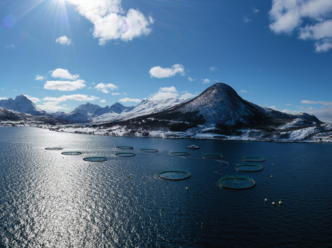 Arctic Aqua