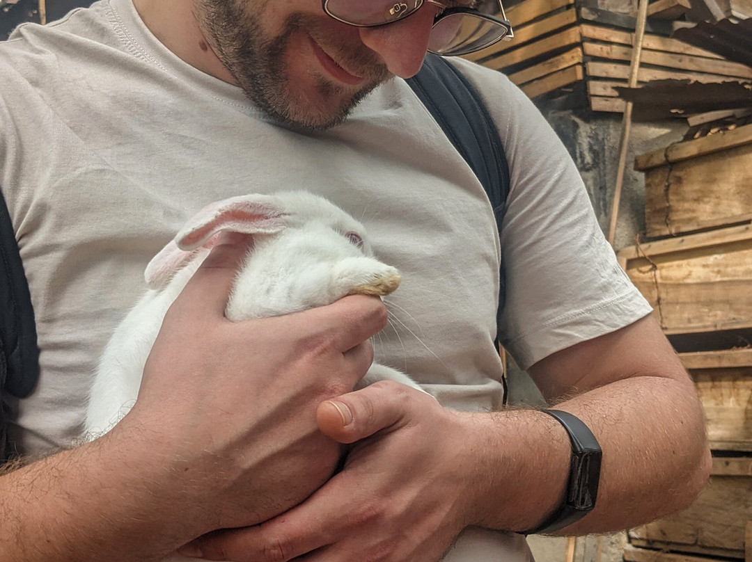 Gapeef Grace Beekeeping-Machame必去景点