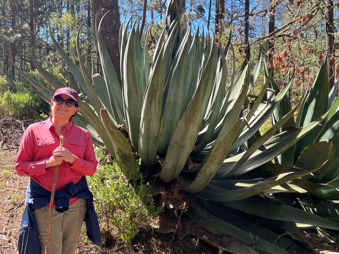Pueblos Mancomunados-瓦哈卡必去景点