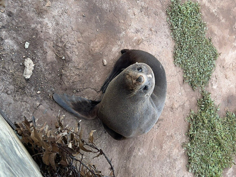 Stevong Travel-奥克兰中心地区必去景点