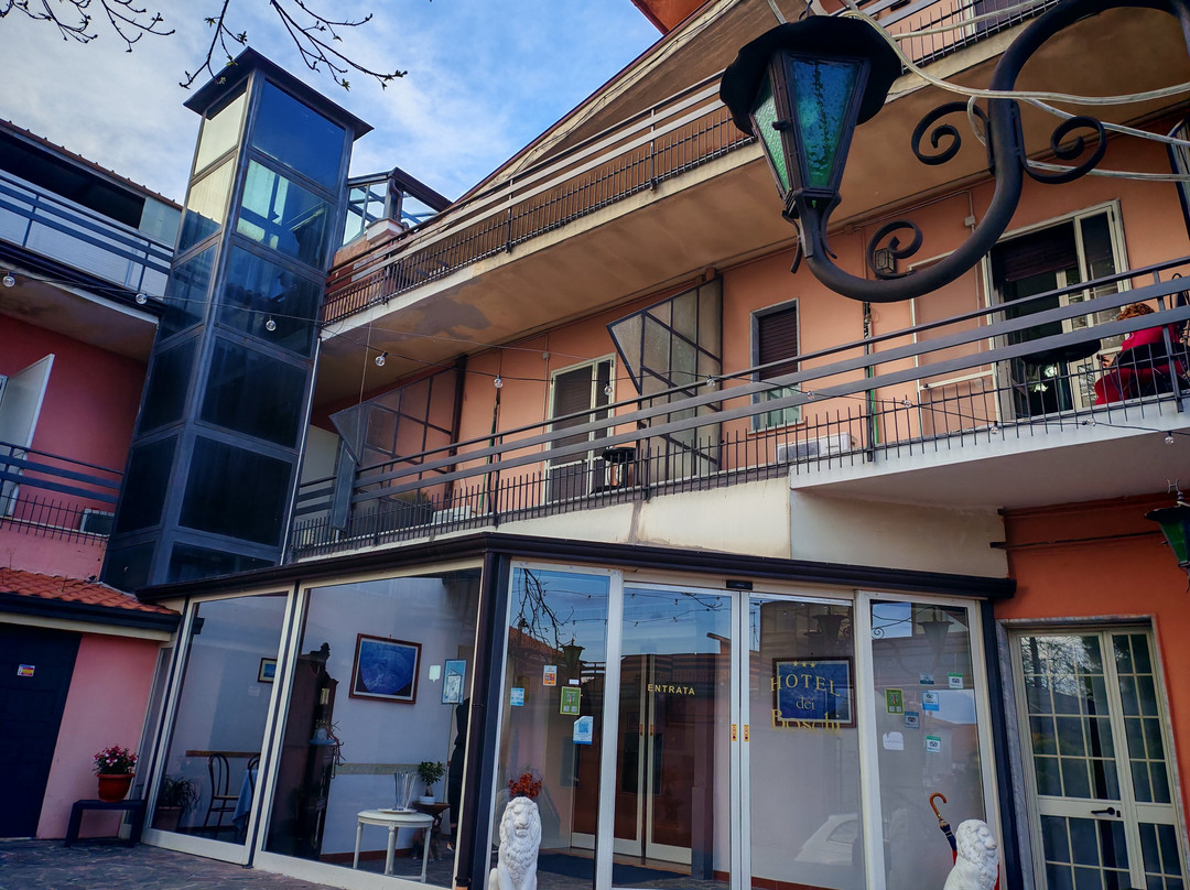 Hotel Dei Boschi主图