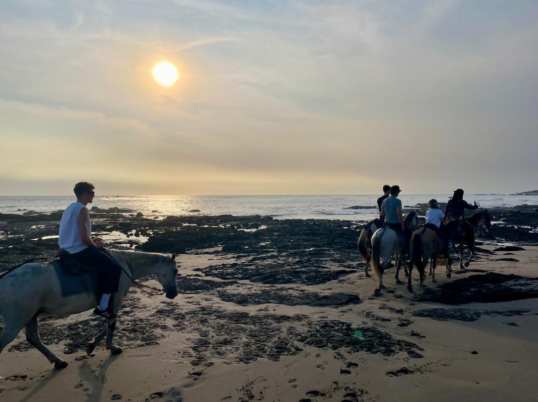 Estero Tours景点图片