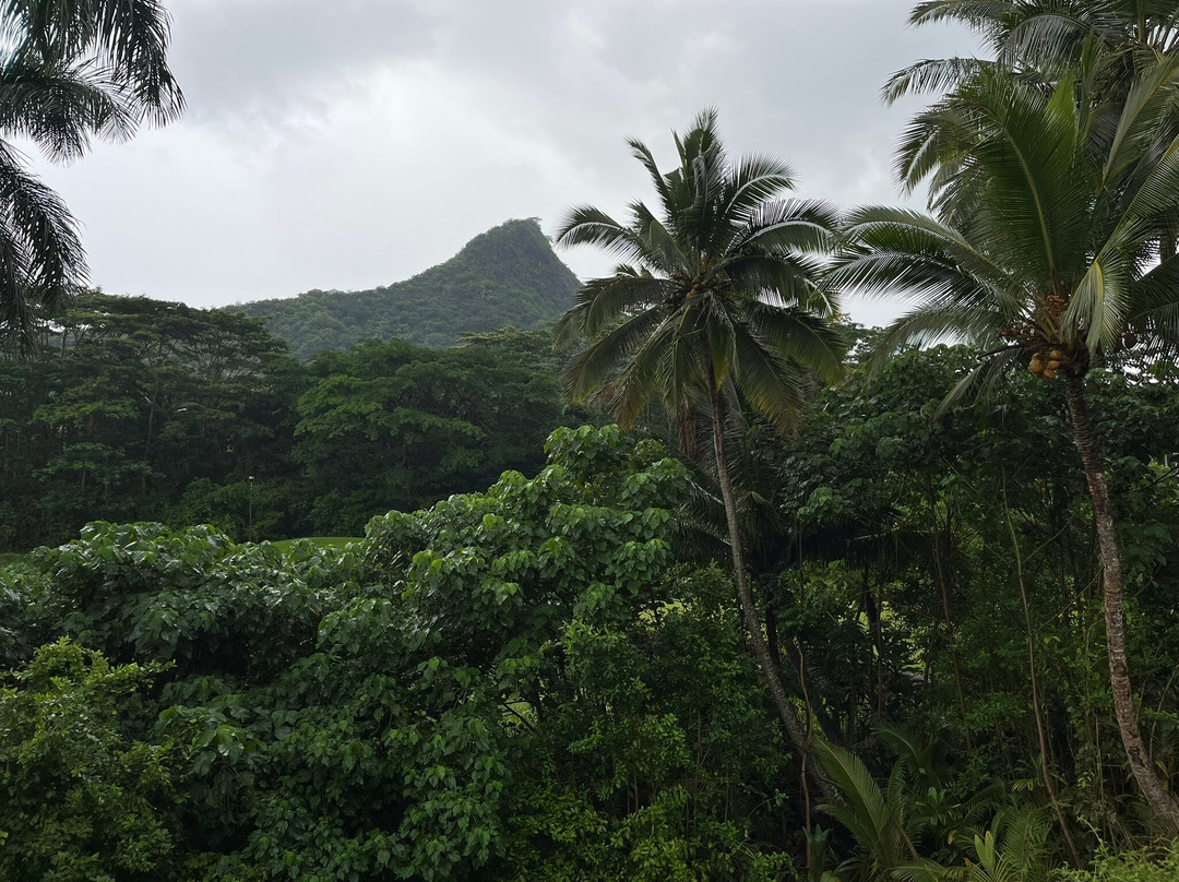 皇家夏威夷乡村俱乐部-科纳必去景点