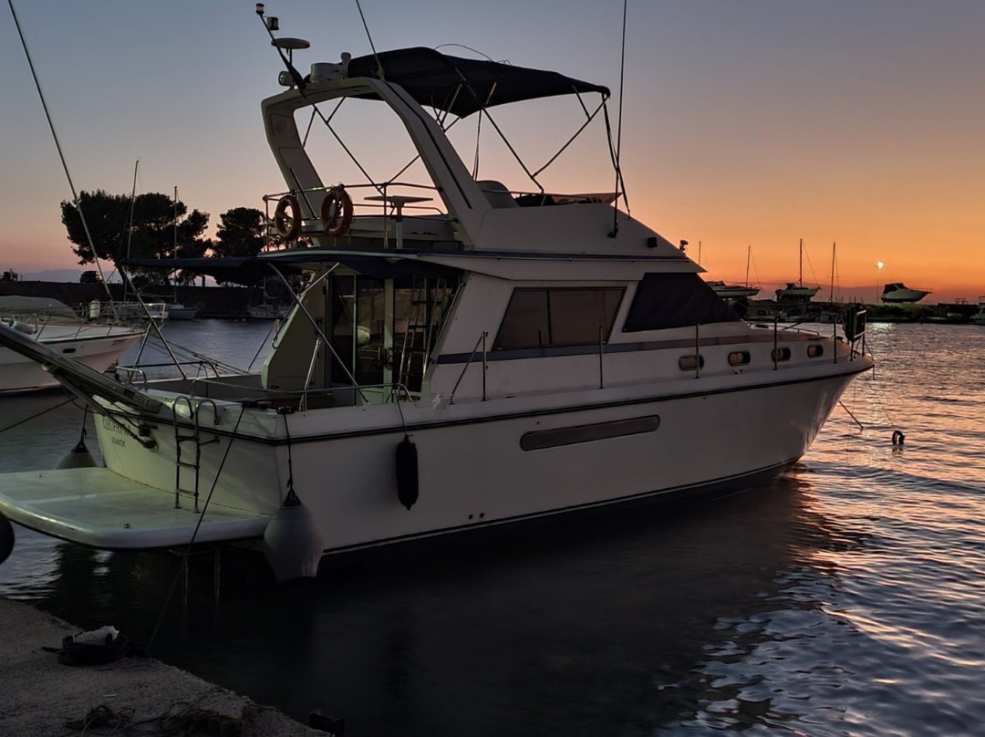 Perseus Sailing Cruises景点图片