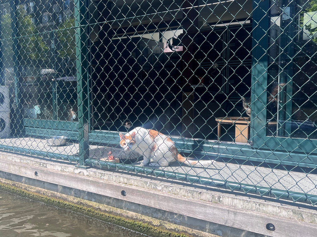 Amsterdam Art Boat-阿姆斯特丹必去景点