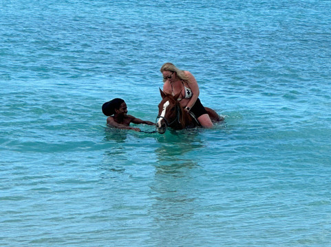 Five Gaits Equestrian Center-布里奇顿必去景点