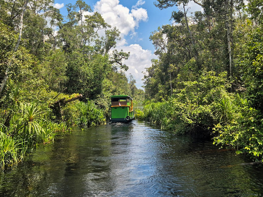 Orangutan Tour Kelotok-Pangkalan Bun必去景点