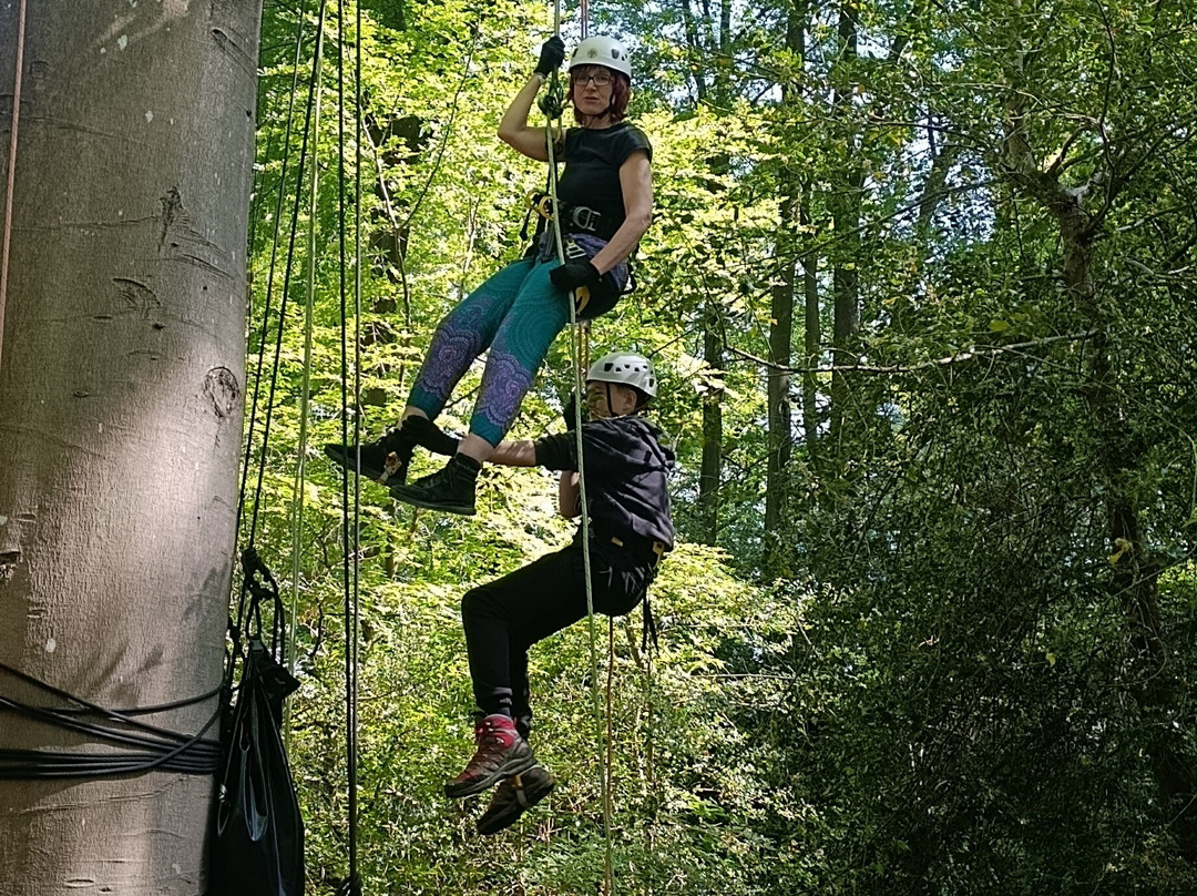 Social Tree Climbers-Bursledon必去景点