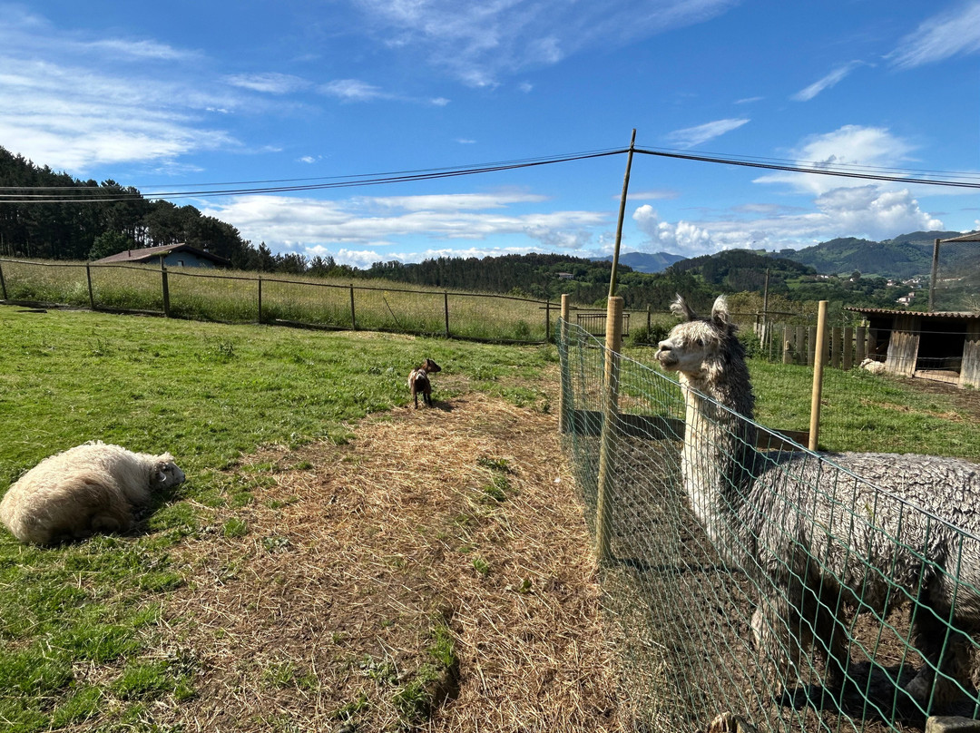Basondo-Kortezubi必去景点
