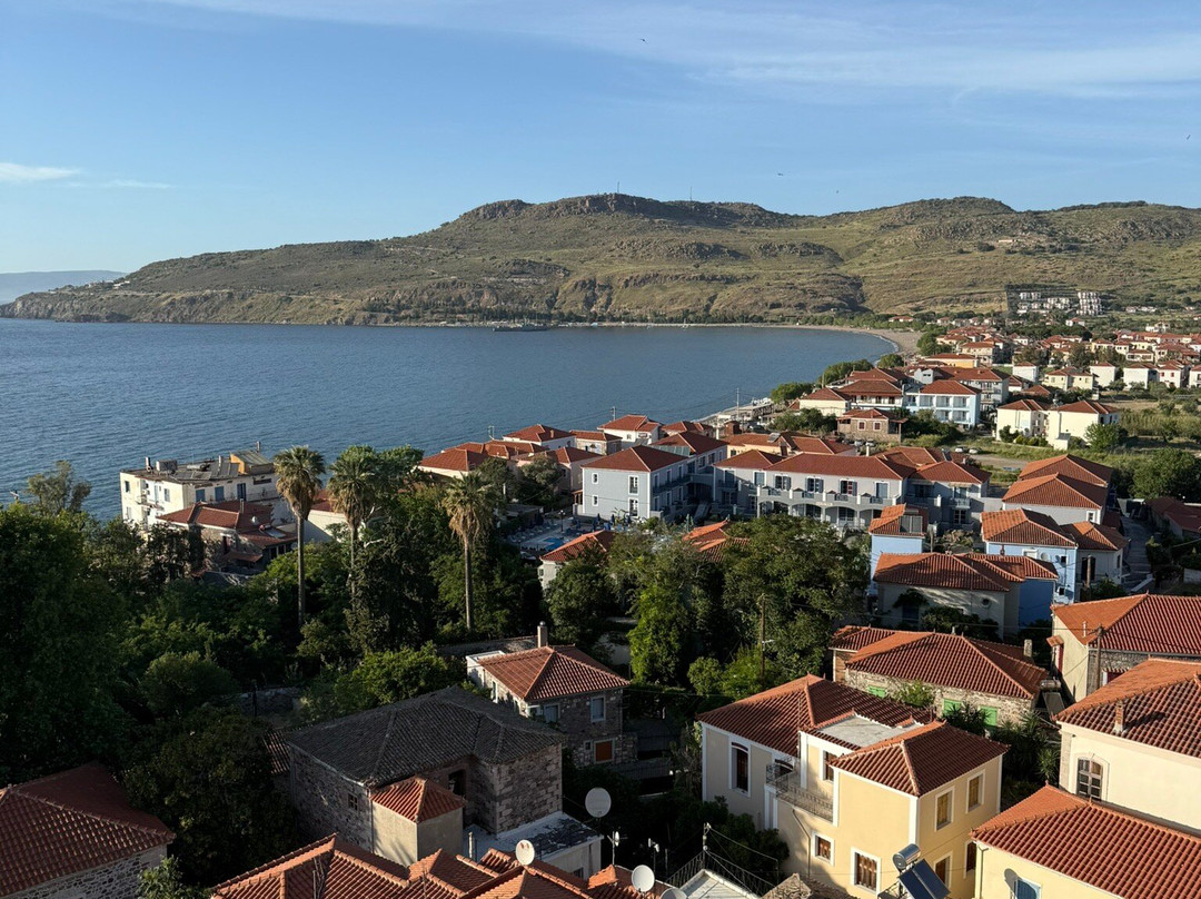 Michaelia Hotel主图