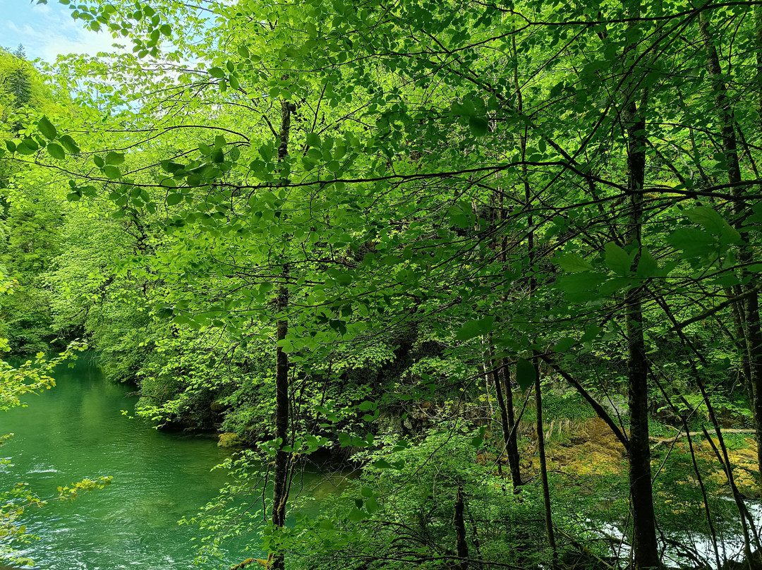 Source de la Loue-Ouhans必去景点