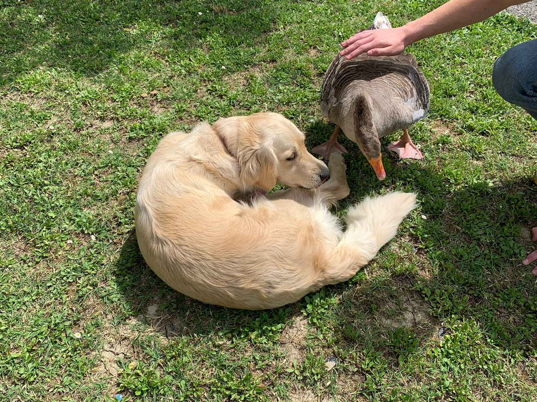 Casa di Monte-蒙特斯佩托利必去景点