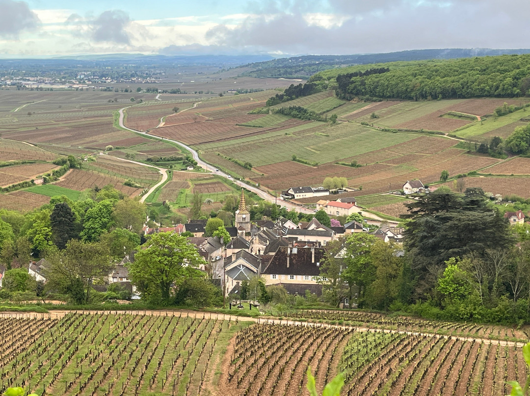 Detours in France-博讷必去景点