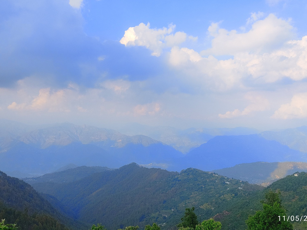 The Woods by Aaryam主图