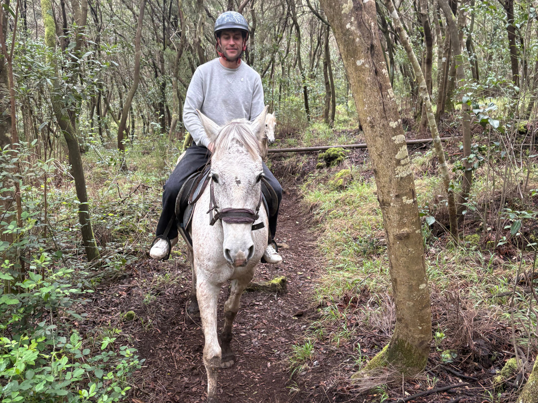 Centro Hípico Savvy Tenerife / Horse riding Tenerife / Reiten Teneriffa-德拉克鲁兹索尔港必去景点